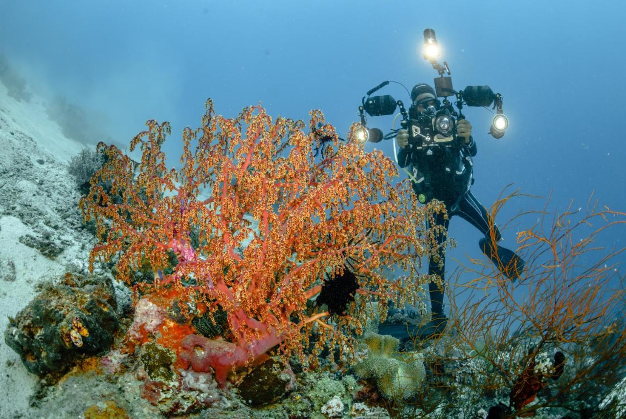 The Three P Beach Resort & Dive Center Agnay Kültér fotó
